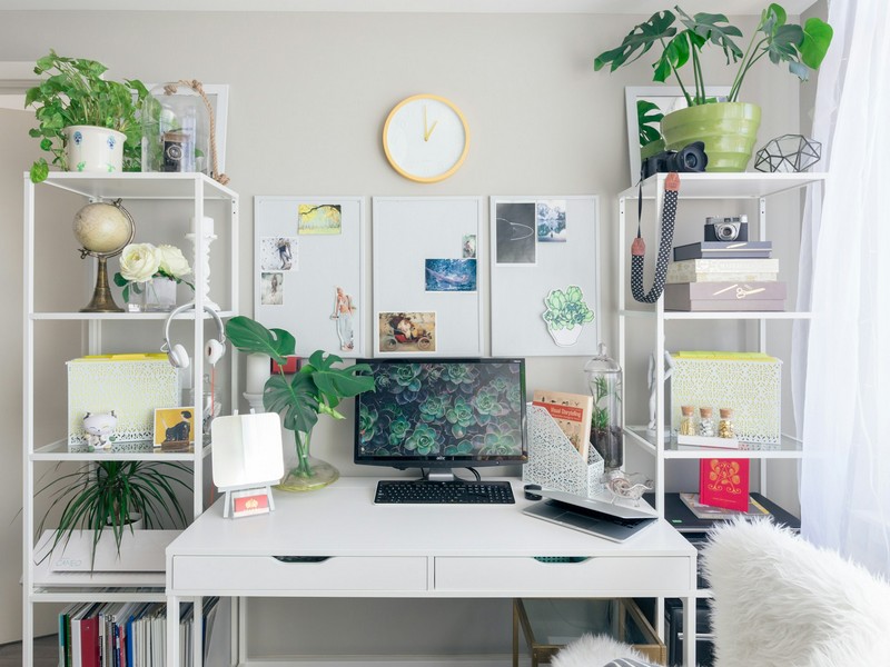 décorer son bureau avec des plantes