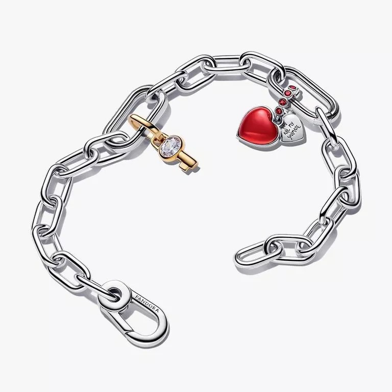bracelet + 2 charms Pandora