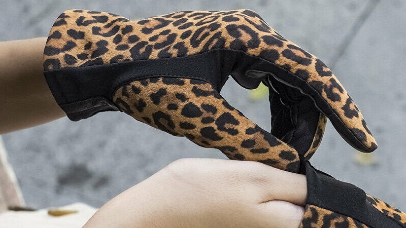 gants léopard Glove Story
