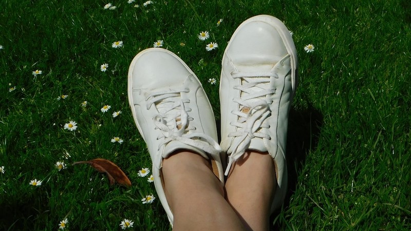 baskets éco-responsables