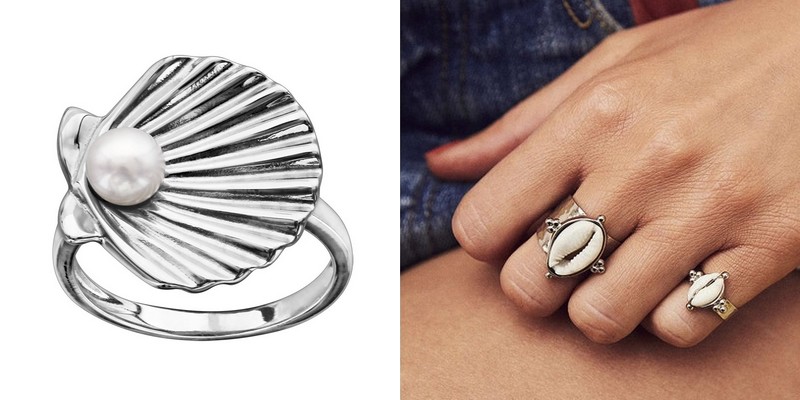 bagues et coquillages