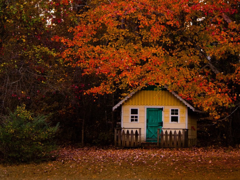 maisonnette de jardin