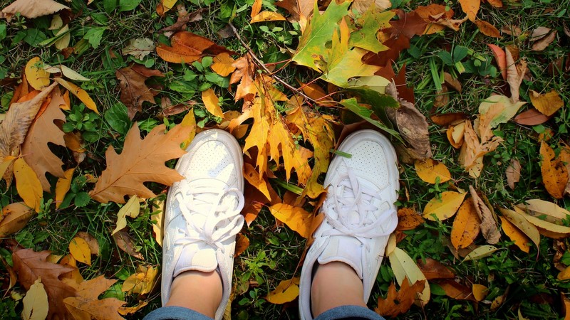 sneakers automne 2022